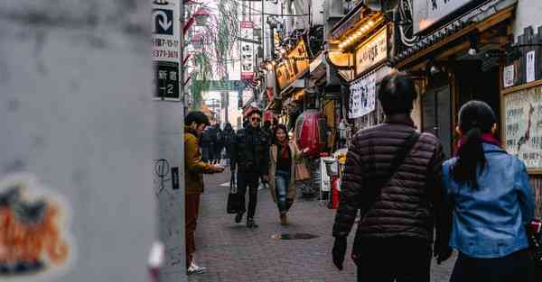 属鸡2024年8月12日运势,属鸡人2024年8月12日财运,生肖鸡2024年8月12日运势