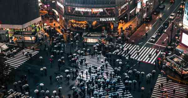 属兔人一生最克3个人,鸡兔相克的解决方法